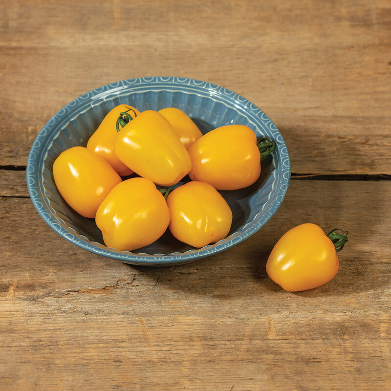 Bright yellow Apple Yellow tomatoes arranged in a bowl