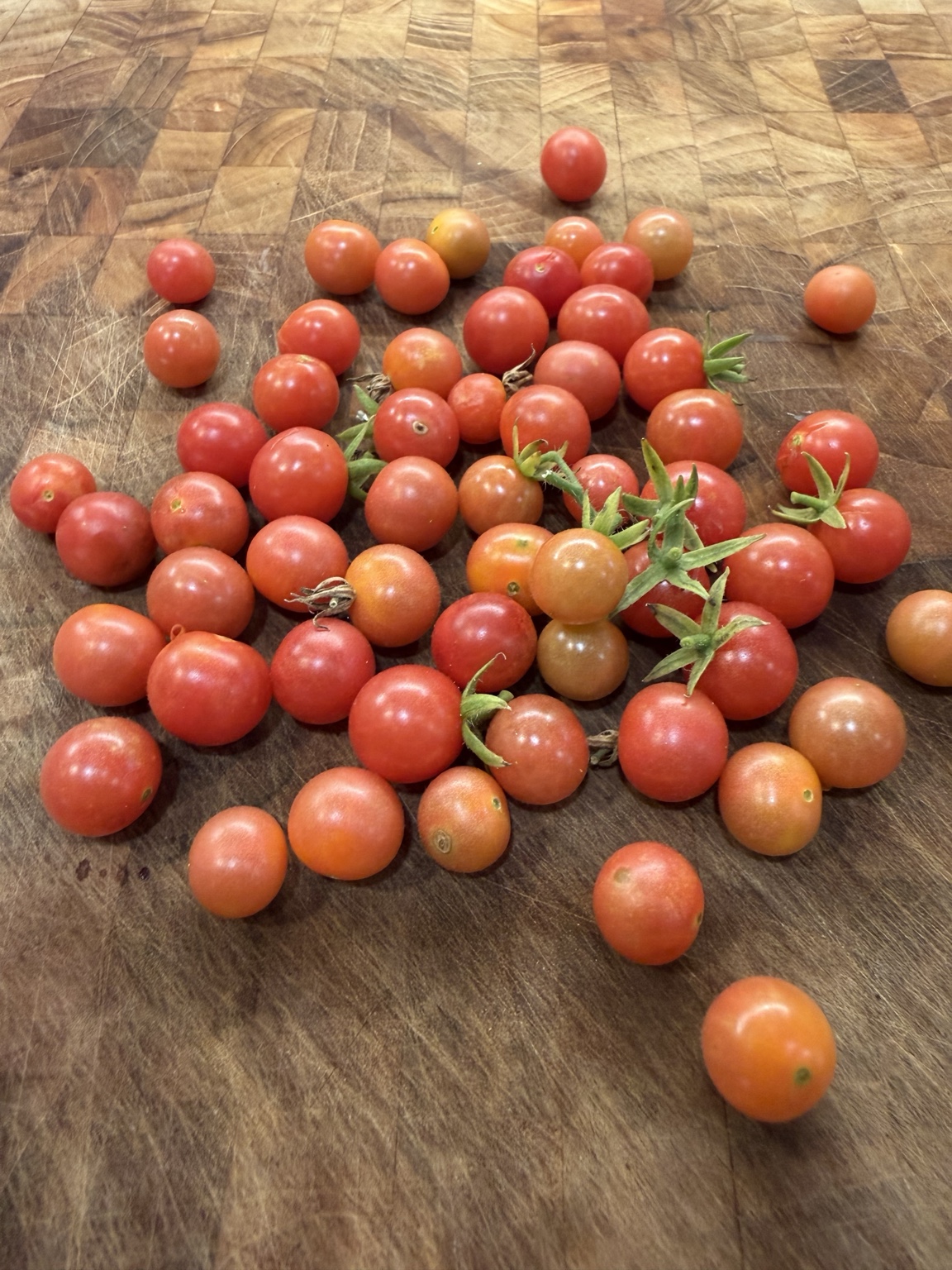 Everglades cherry tomatoes grown in Clearwater, Florida