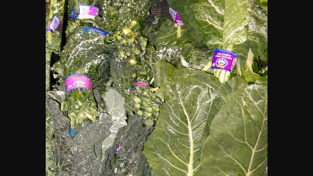 Fresh Lacinato kale and collard greens