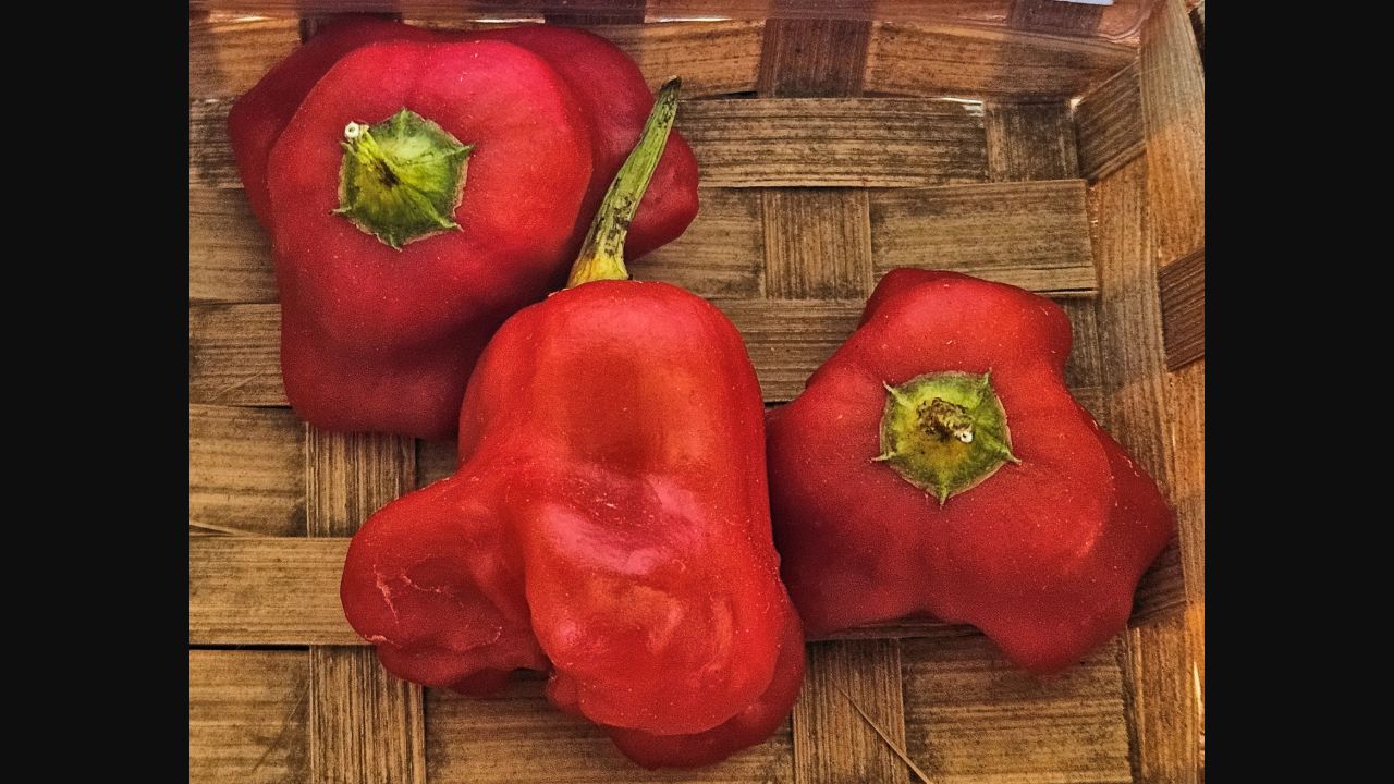 Red Mad Hatter peppers