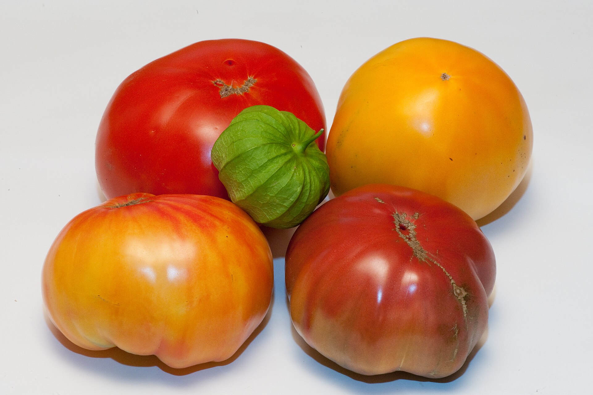A group of garden tomatoes including a Striped German tomato