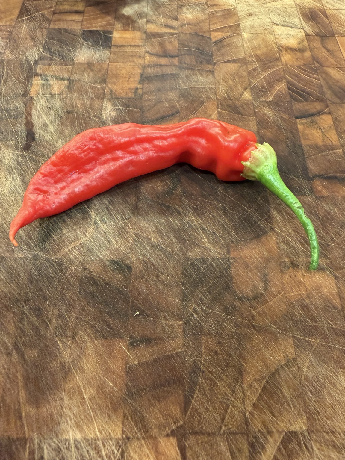 A ripe Sugar Rush Striped pepper on a wooden cutting board