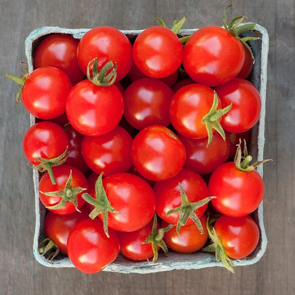 A carton filled with ripe red Sweetie cherry tomatoes